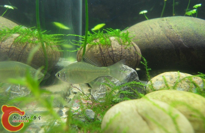 SDC12092.JPG SDC12092.JPG