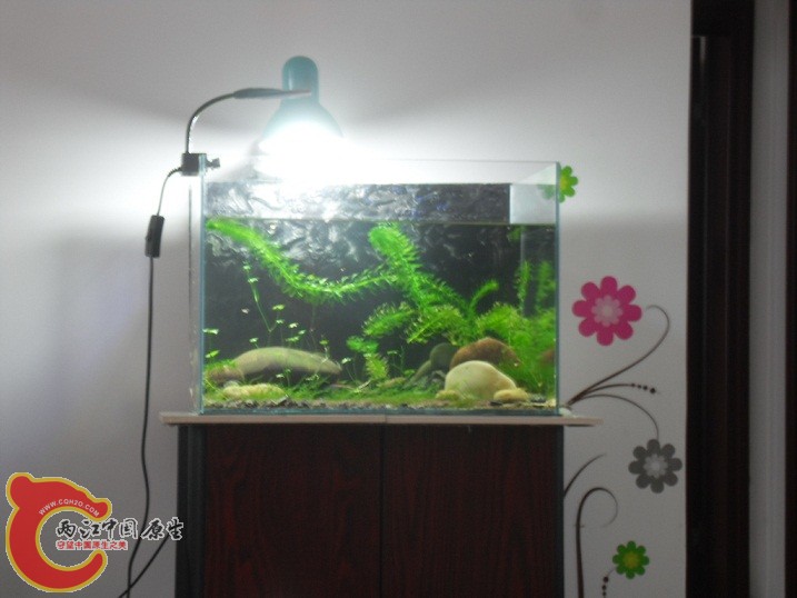 SDC12097.JPG SDC12097.JPG