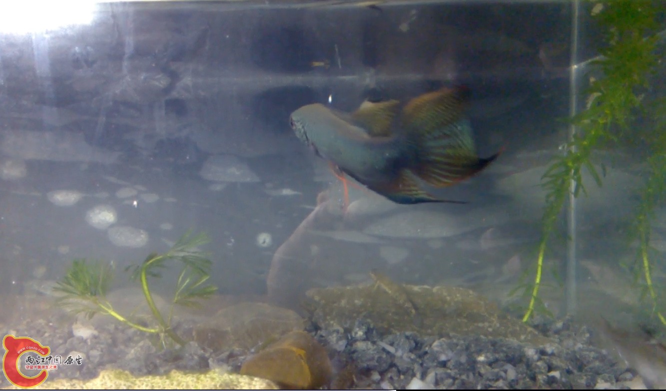 2013_06_07_00_03.22.jpg