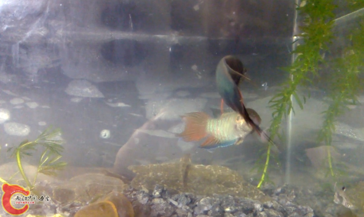 2013_06_07_00_04.02.jpg