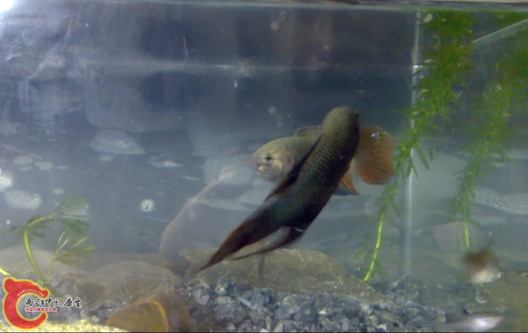 2013_06_07_00_05.14.jpg