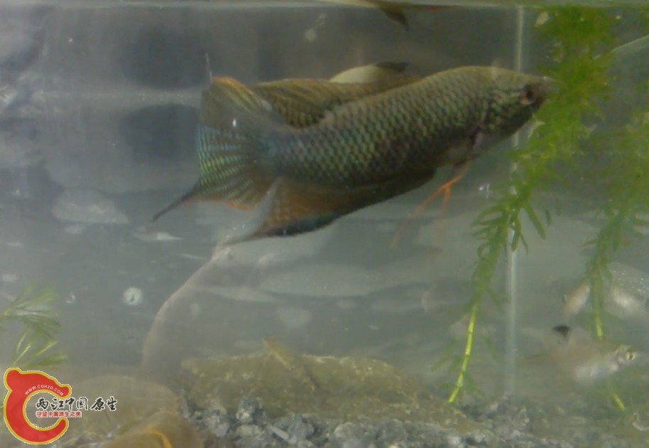 2013_06_07_00_06.35.jpg