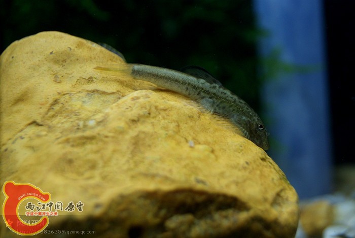 08.jpg