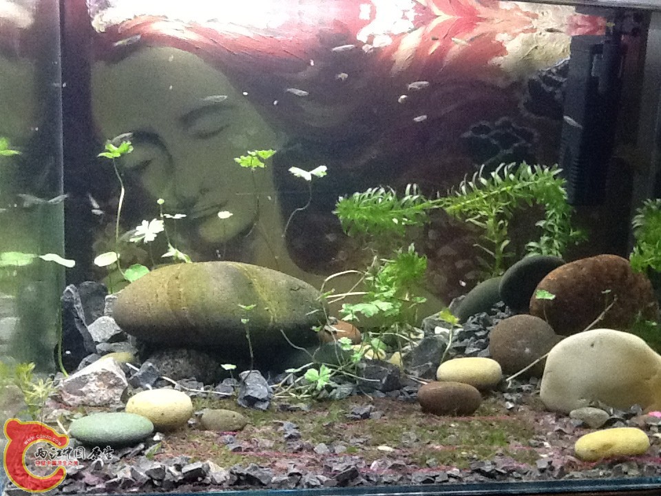 QQ图片20130607173245.jpg QQ图片20130607173245.jpg