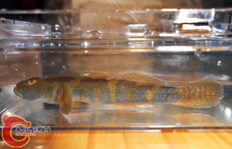 DSCN1180.JPG