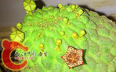 DSC_0473_副本.jpg