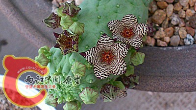 DSC_0131_副本.jpg