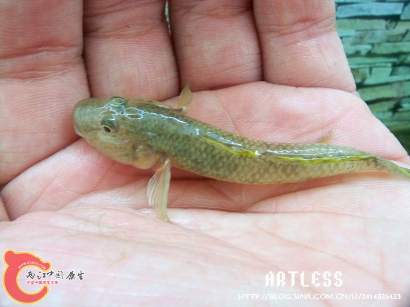100_7015_副本.jpg