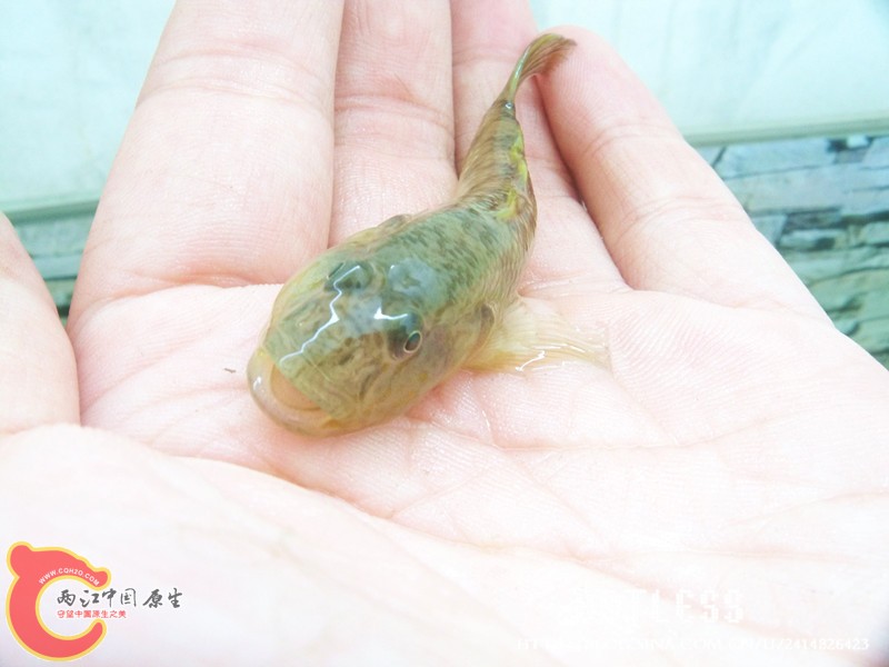 100_7023_副本.jpg