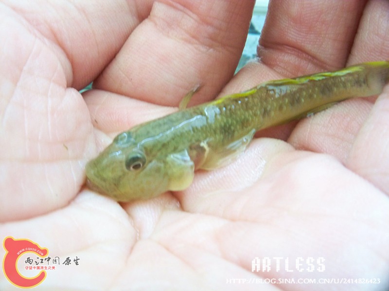 100_7028_副本.jpg