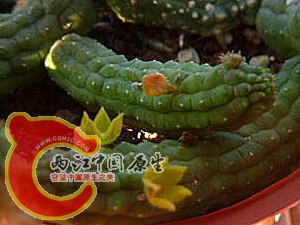 1247124827-ac-8828xf4x0600x0450-m_副本.jpg