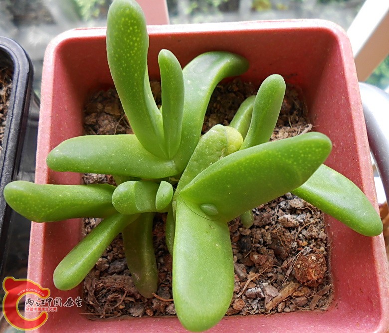 DSCN1060.jpg