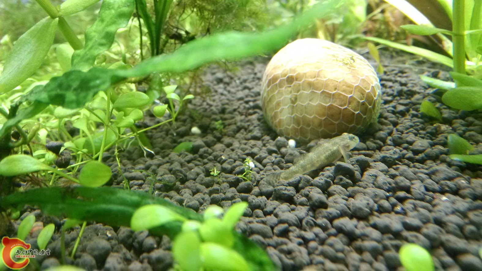 IMG_20130608_115549.jpg