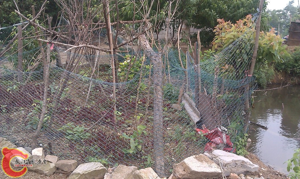 IMAG0055.jpg
