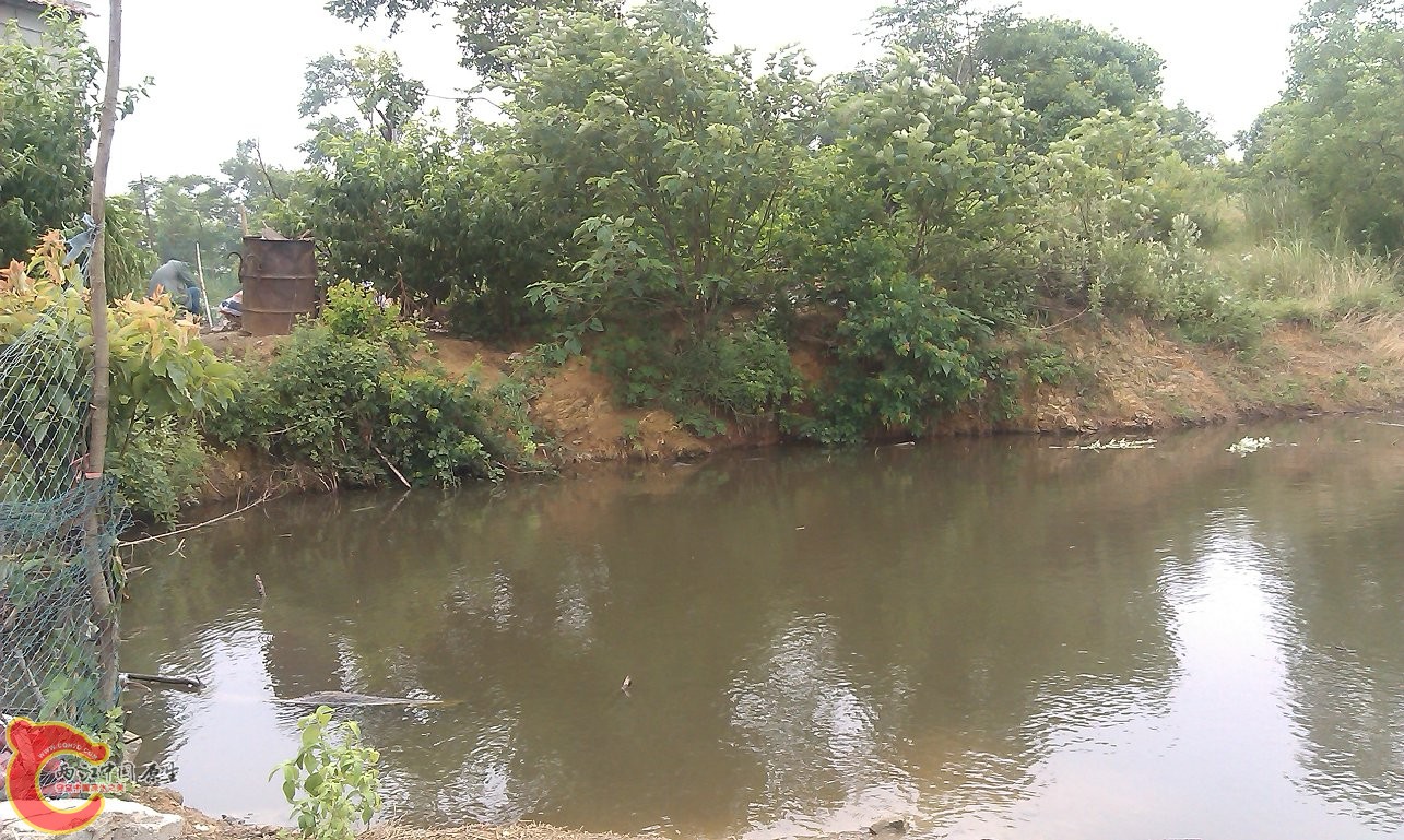 IMAG0056.jpg
