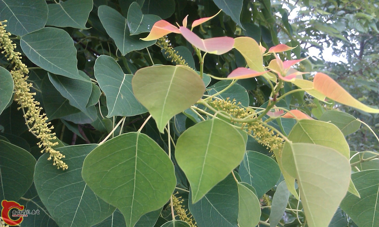 IMAG0073.jpg