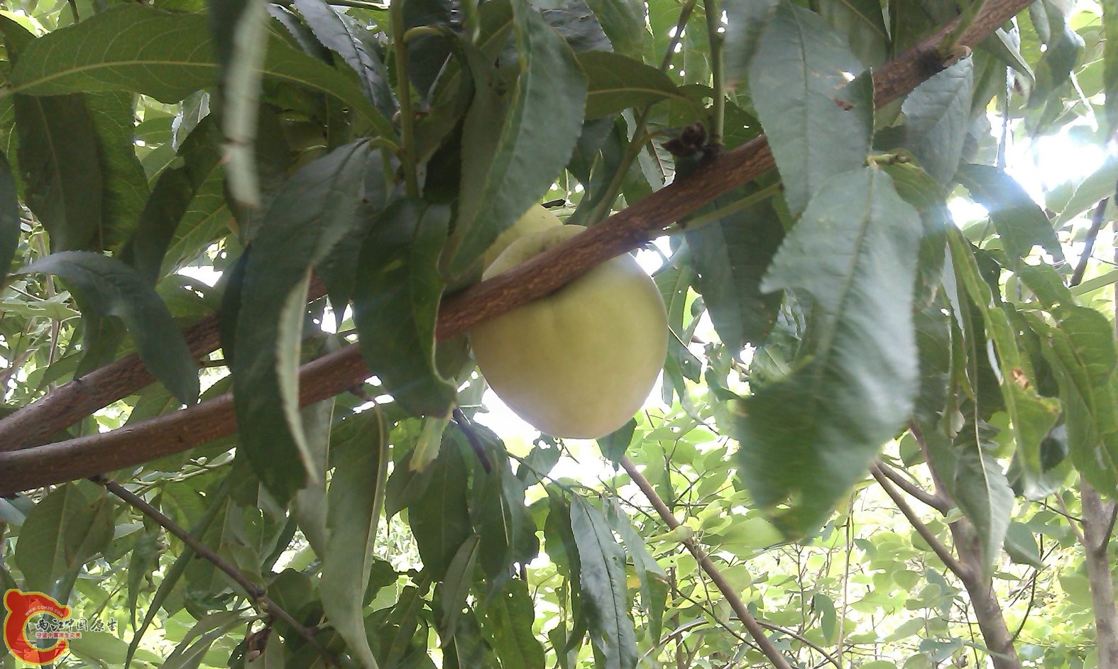 IMAG0074.jpg