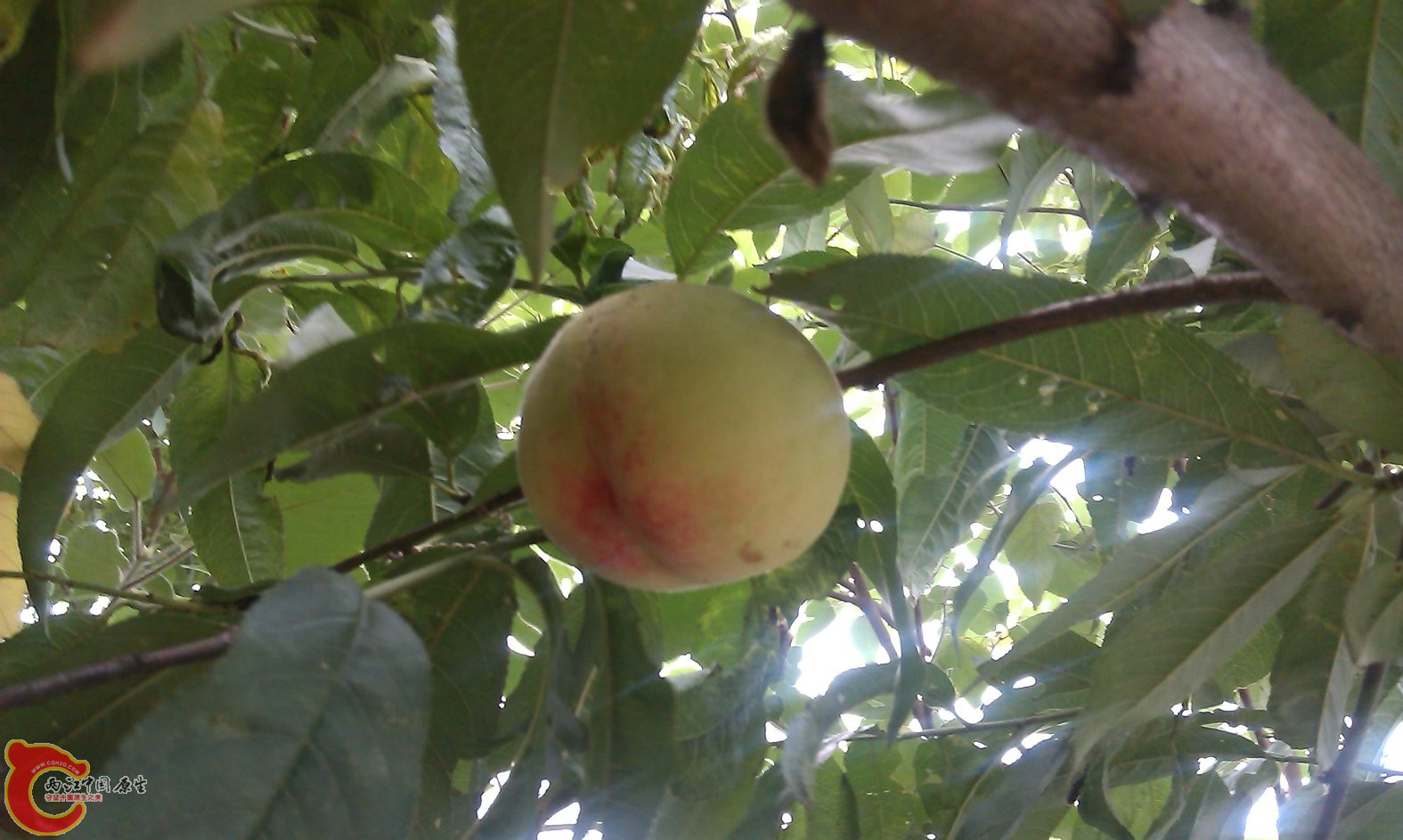 IMAG0075.jpg