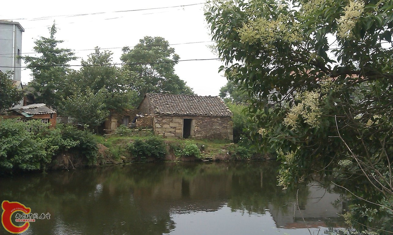 IMAG0077.jpg