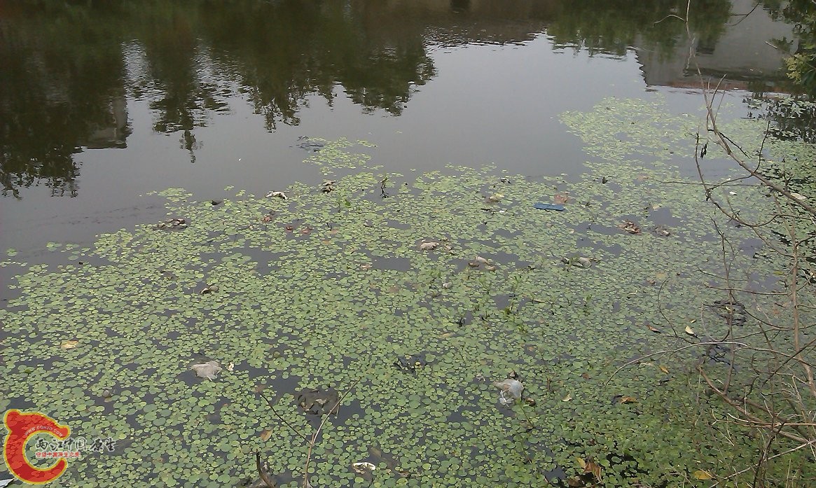 IMAG0078.jpg