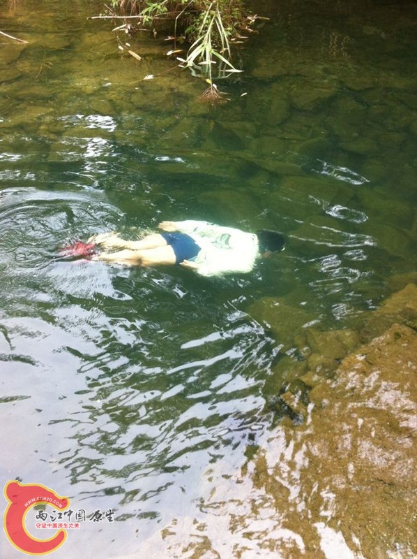 潜水捞沉木