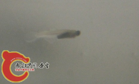 QQ截图20130612232212.jpg