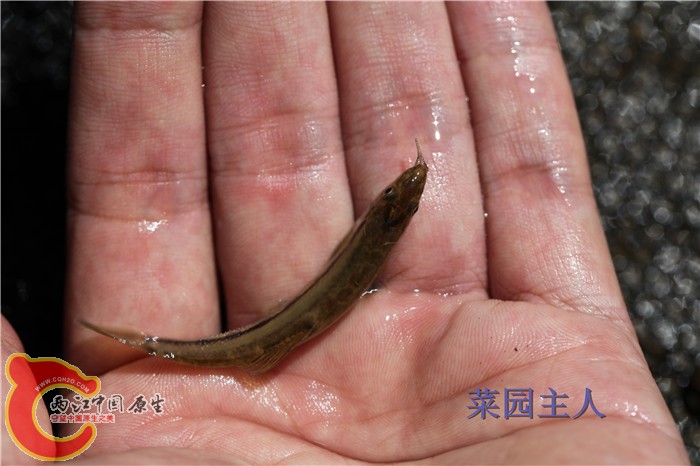 照片 273.jpg