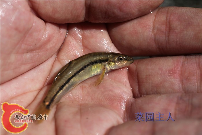 照片 269.jpg