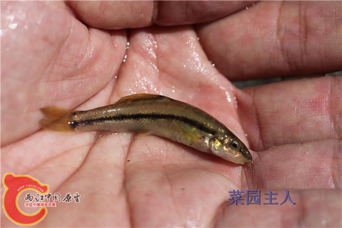 照片 270.jpg