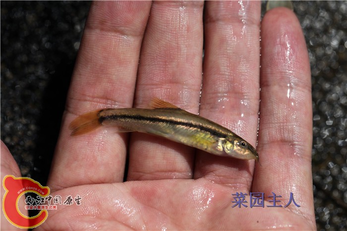 照片 271.jpg