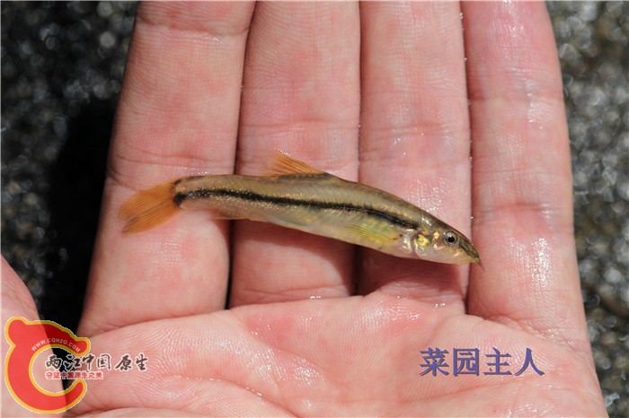 照片 272.jpg