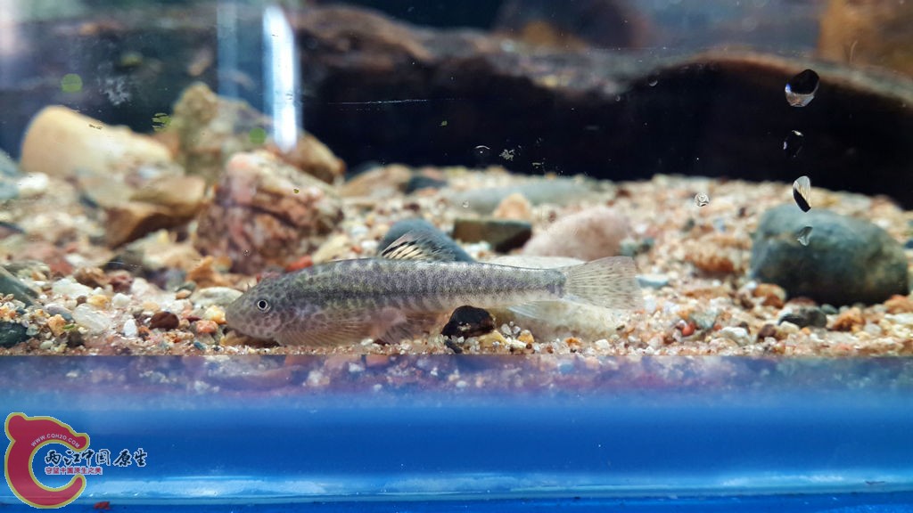 20130616_171828_副本.jpg