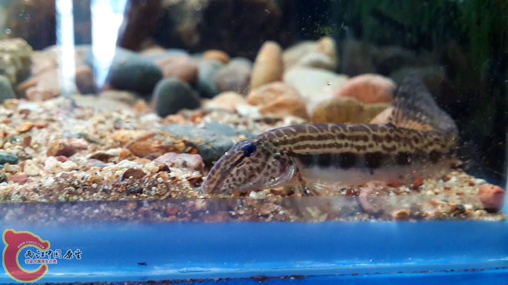20130616_171833_副本.jpg