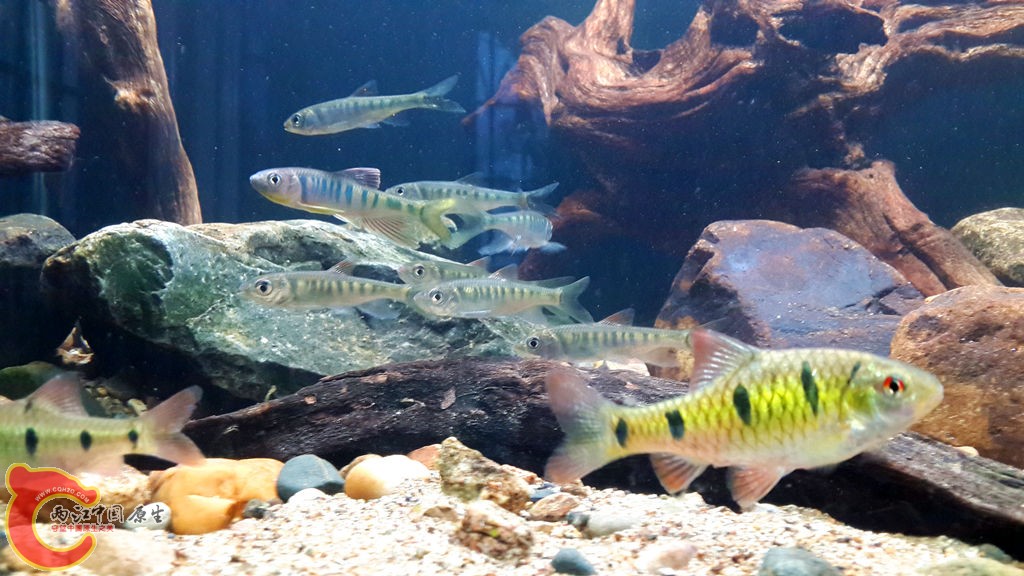 20130616_190326_副本.jpg