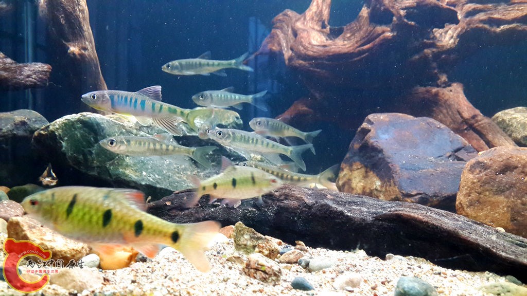 20130616_190329_副本.jpg