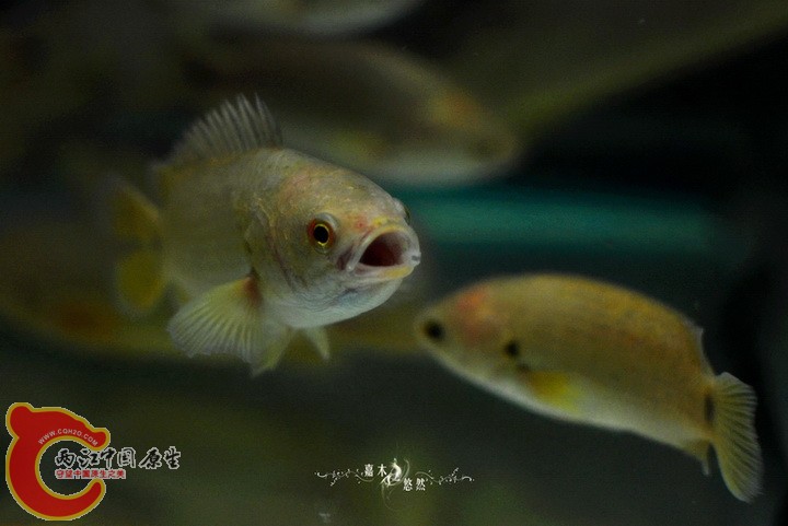 DSC_7763.jpg