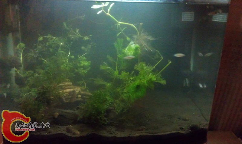 IMAG1324_副本.jpg