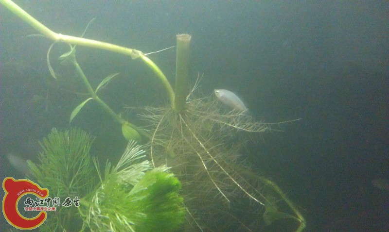 IMAG1304_副本.jpg
