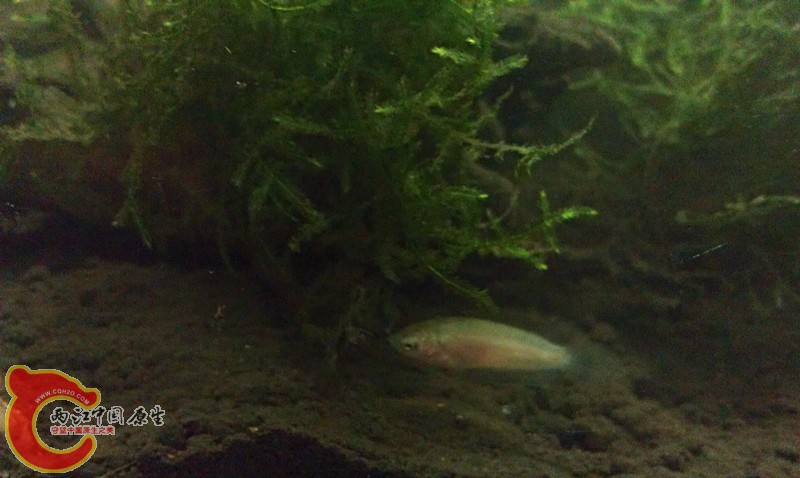 IMAG1306_副本.jpg