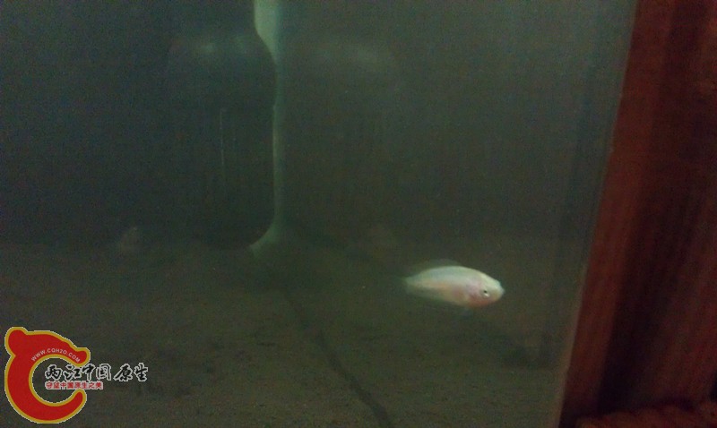 IMAG1307_副本.jpg