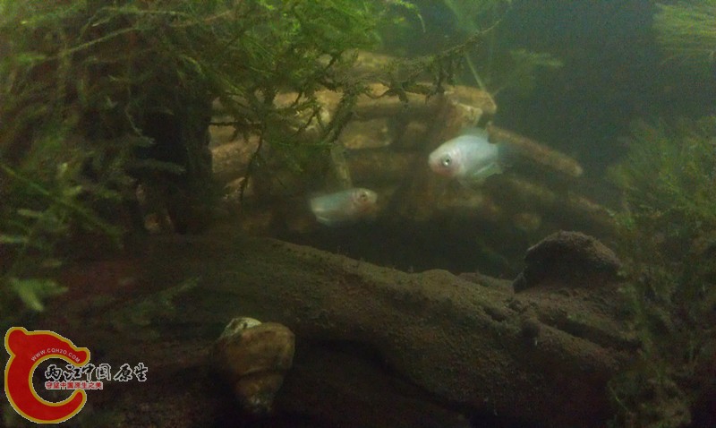 IMAG1310_副本.jpg
