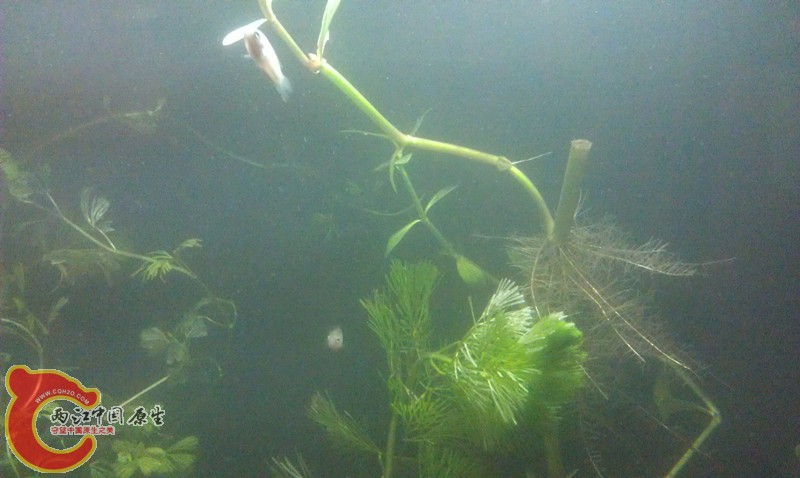 IMAG1311_副本.jpg