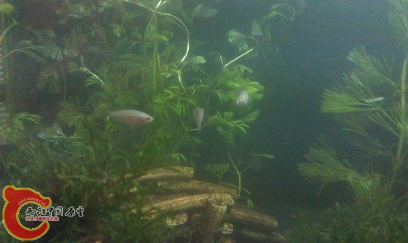 IMAG1318_副本.jpg