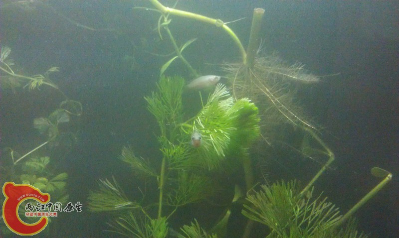 IMAG1320_副本.jpg