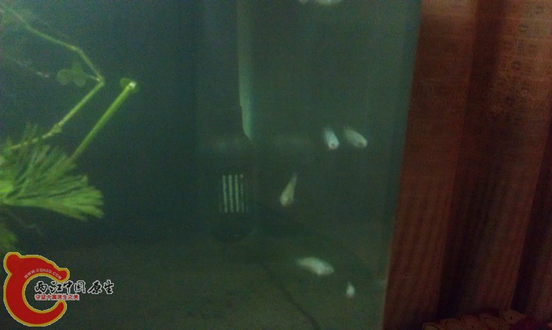 IMAG1321_副本.jpg