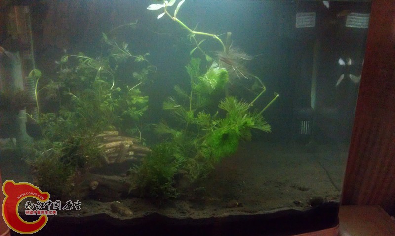 IMAG1323_副本.jpg