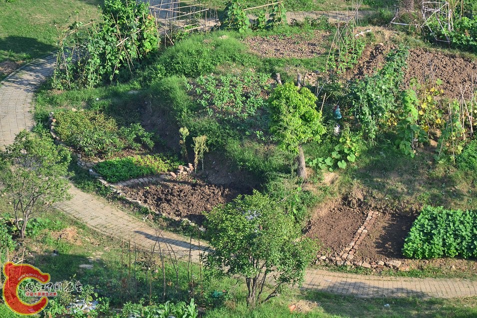 20130616-1372.JPG