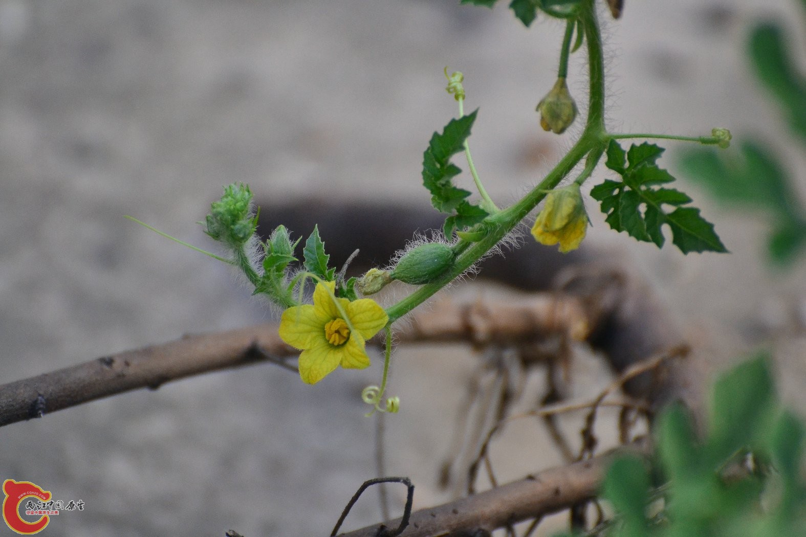 20130617-1447.JPG