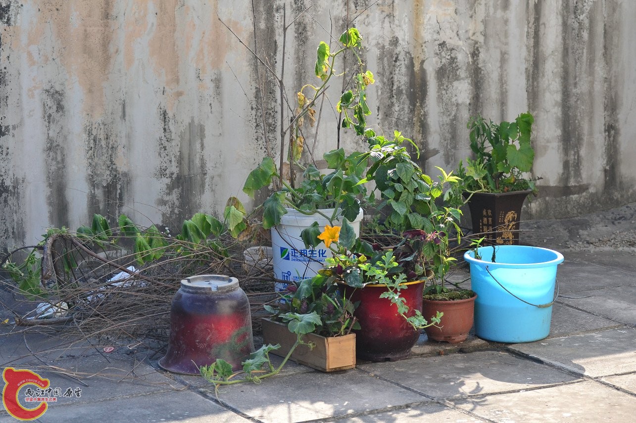 20130617-1476.JPG