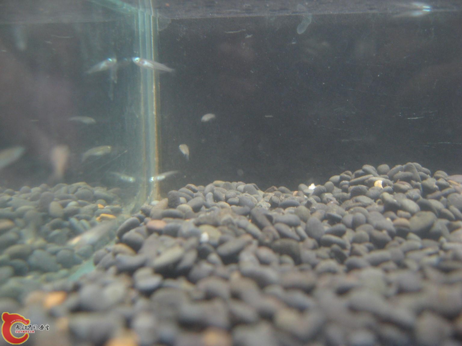 IMGSRC_20130617171420_16.JPG